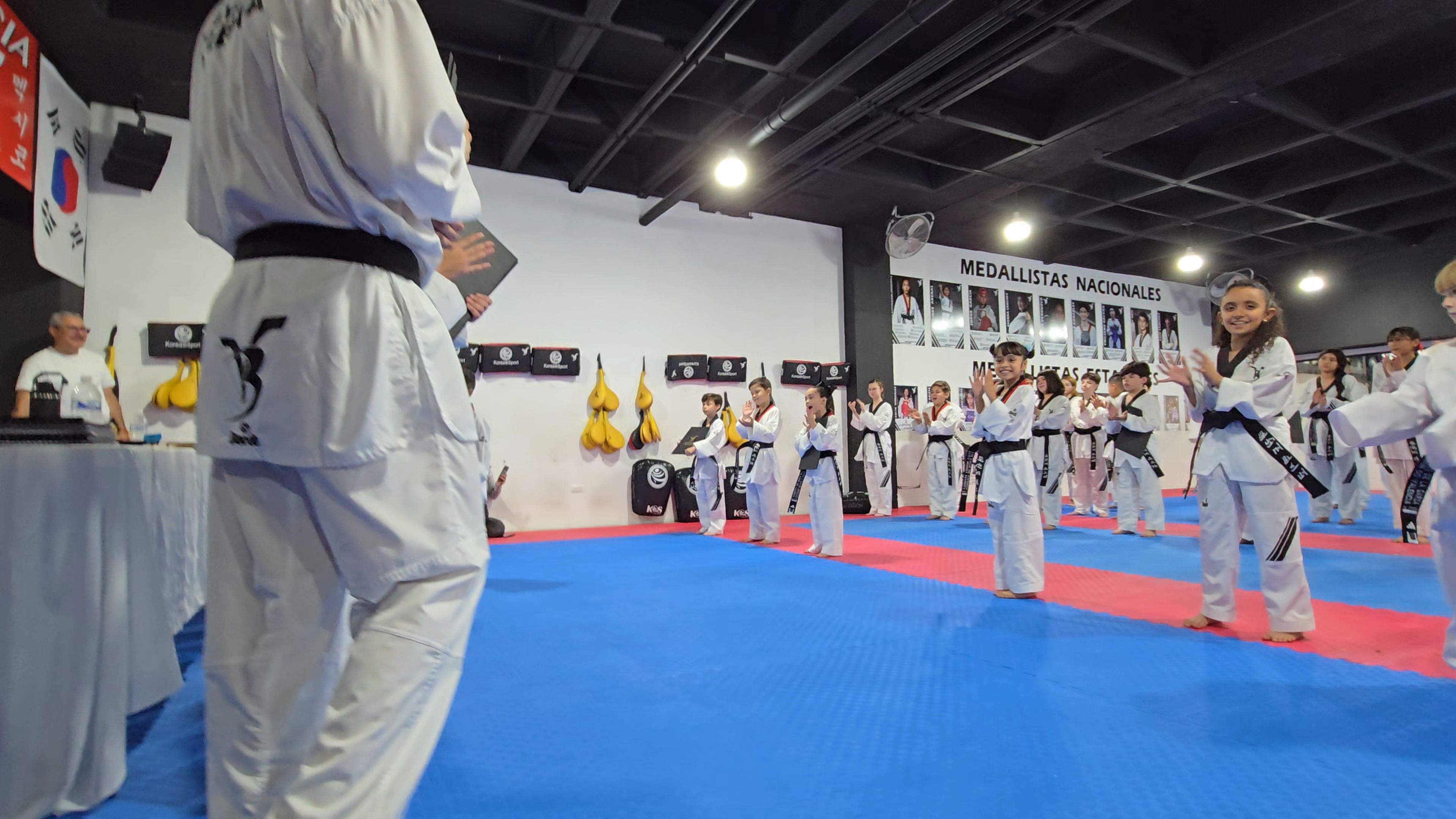 Entrenamiento Taekwondo Valencia
